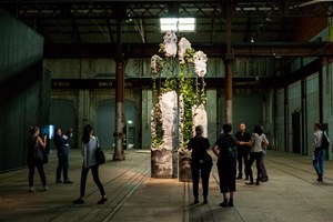 Jamie North, 'Succession', 2016. Installation view of the 20th Biennale of Sydney (2016) at Carriageworks. Courtesy the artist and Sarah Cottier Gallery, Sydney. Photographer: Ben Symons.